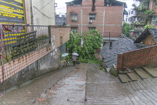 瀘州市江陽(yáng)區(qū)分水鎮(zhèn)