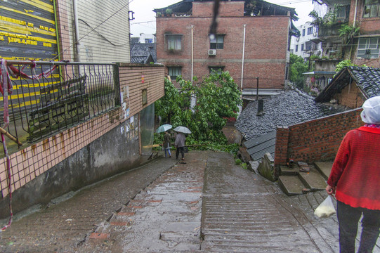瀘州市江陽(yáng)區(qū)分水鎮(zhèn)