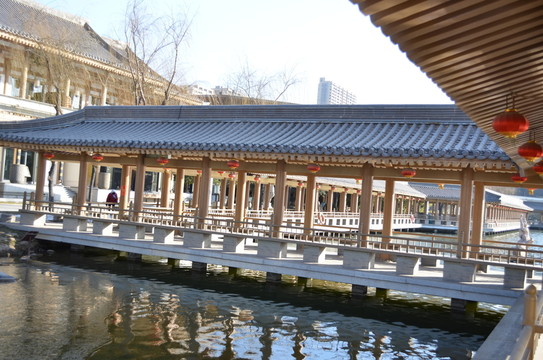 曲江新景