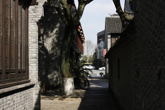 梅灣街一角