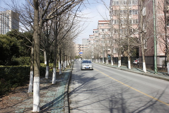 嘉興街頭