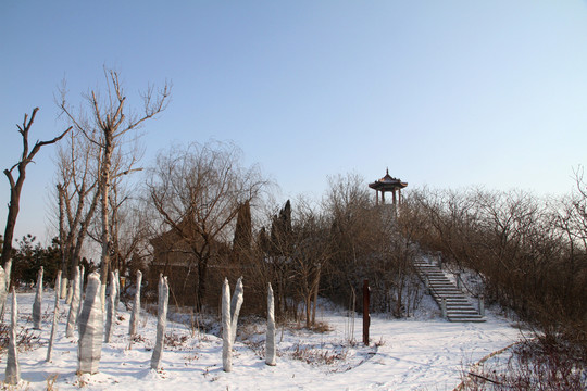 馬踏湖濕地公園雪景