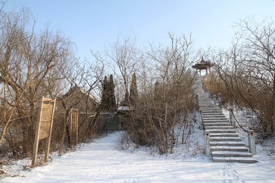 馬踏湖濕地公園雪景