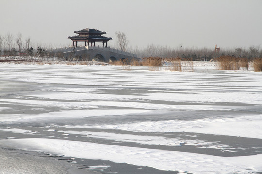 濕地冬景