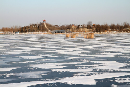 濕地雪景