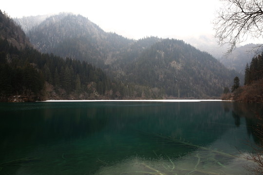 箭竹海