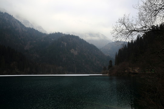 箭竹海