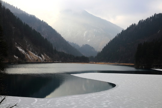 箭竹海