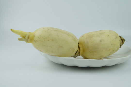 蓮藕