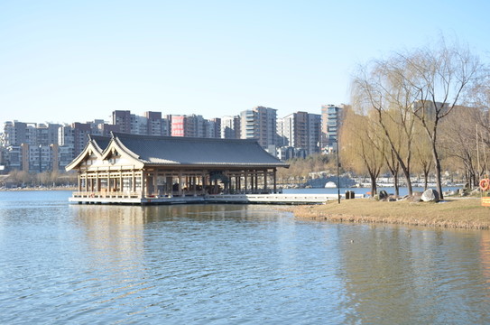 曲江池畔