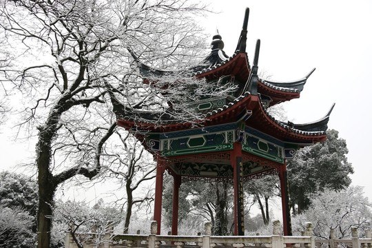 梅園風(fēng)景