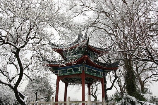 梅園風景