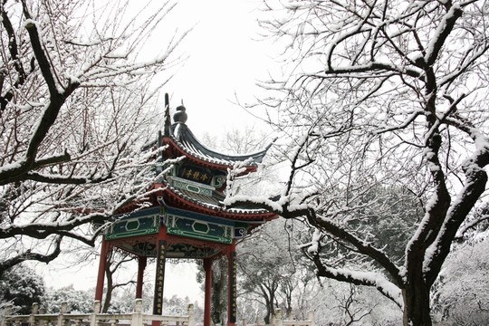 梅園風(fēng)景