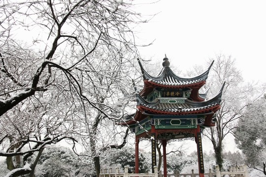梅園風(fēng)景