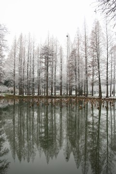 梅園風(fēng)景