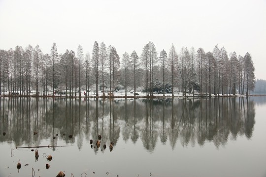梅園風景