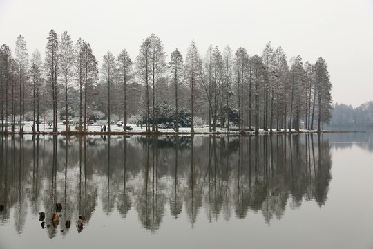 梅園風(fēng)景