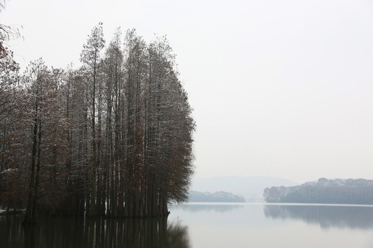 梅園風(fēng)景