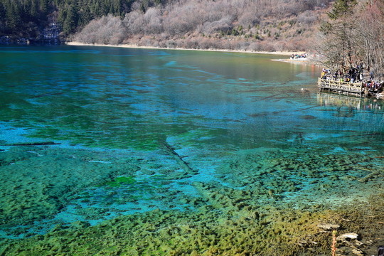 五花海