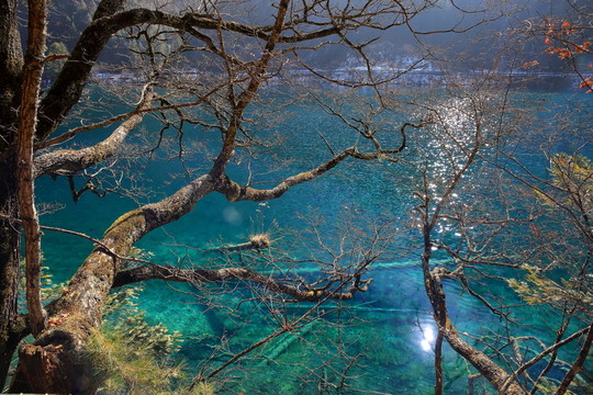 鏡海