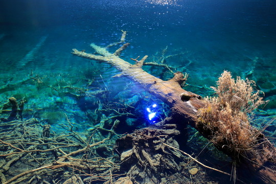 鏡海