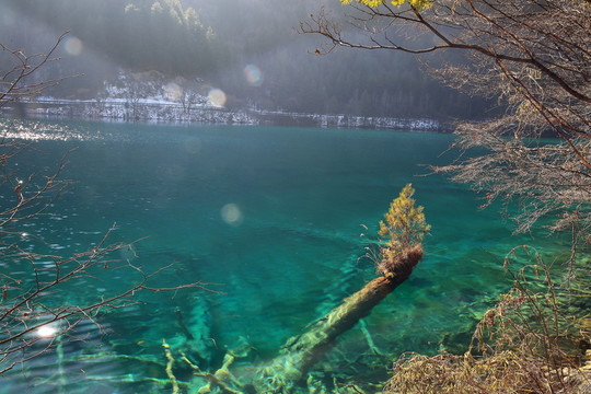 鏡海