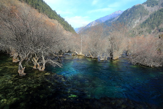 九寨溝