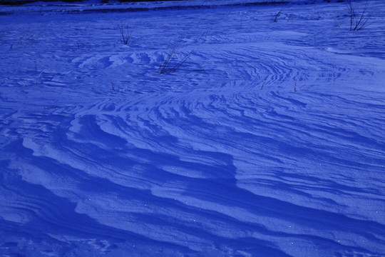 雪田
