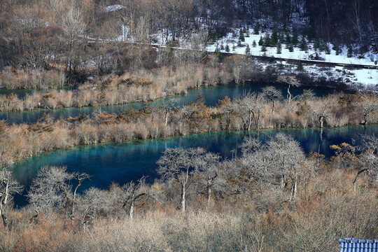 樹正群海