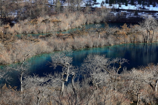 樹(shù)正群海