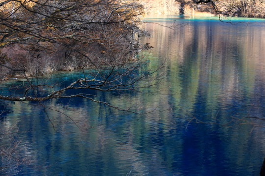 樹正群海