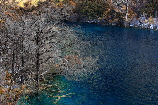 樹正群海