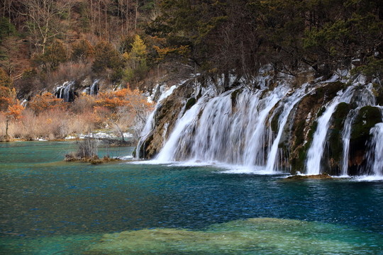 樹正群海