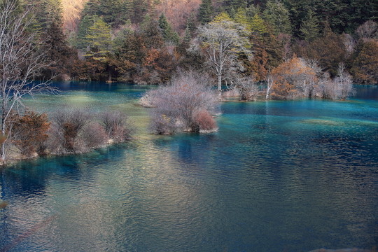 九寨溝