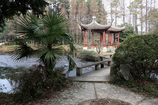 植物園風(fēng)景
