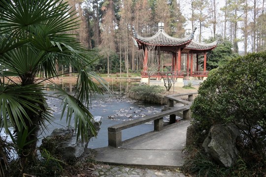 植物園風(fēng)景