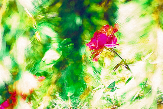 花卉裝飾畫