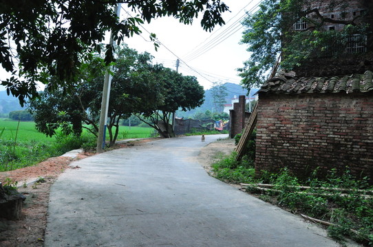 山村小路