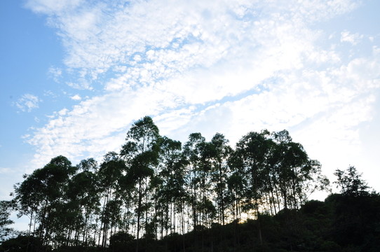 藍(lán)天白云