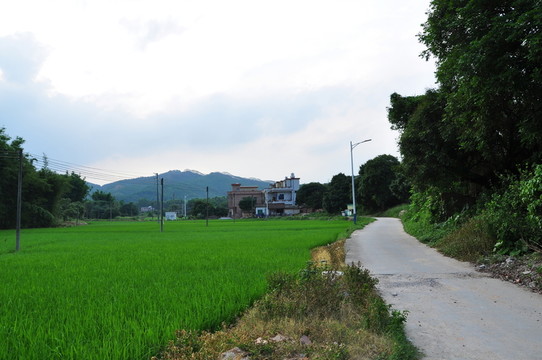 田園風光