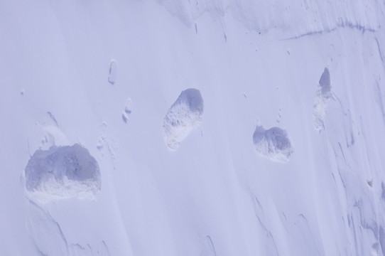 雪痕