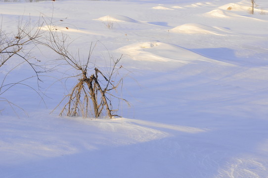 雪痕