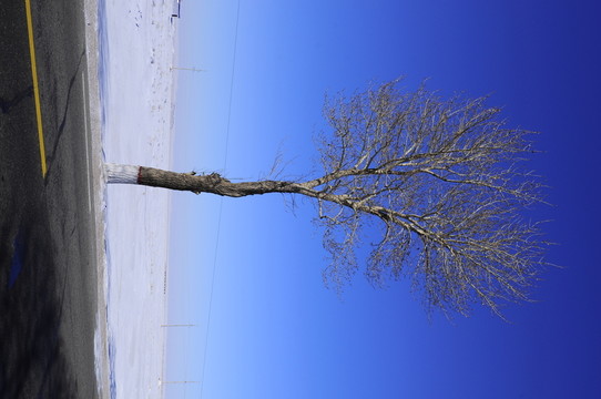 冰天雪地
