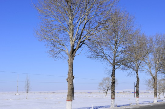 冰天雪地