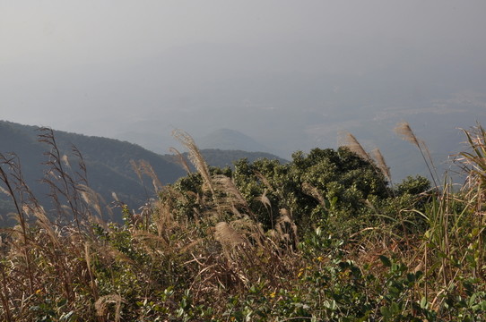山脈