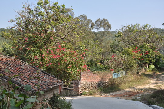 山村風(fēng)光