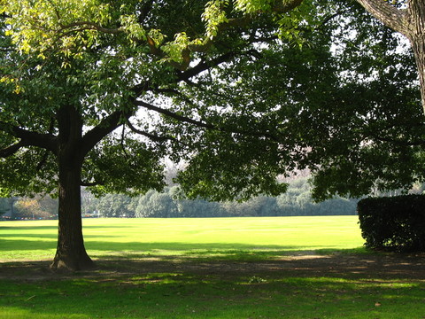 公園綠地