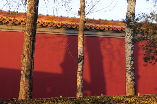 紅墻 琉璃瓦