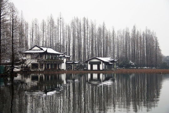 西湖雪后倩影