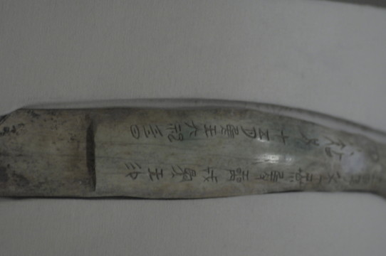 卜骨